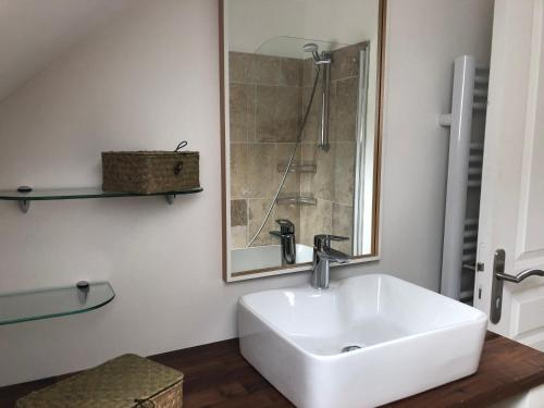 a bathroom with a white sink and a shower at Taboo Treigny in Treigny