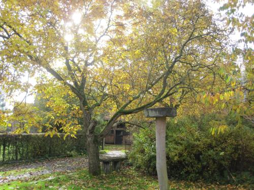 a tree and a bird house next to a bench at Grote Goesting holiday house in Wevelgem
