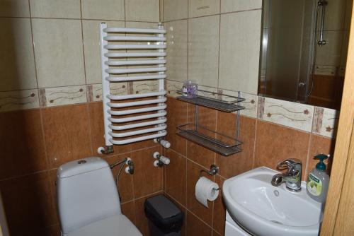 a bathroom with a white toilet and a sink at Pokoje nad rzeką in Kudowa-Zdrój