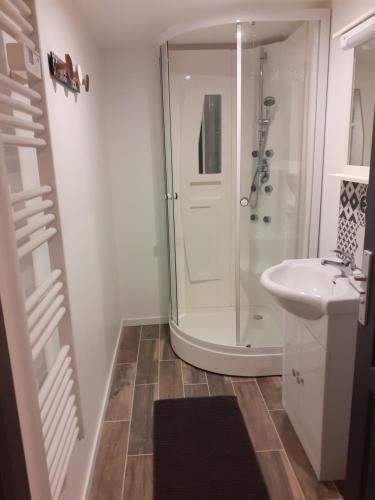 La salle de bains est pourvue d'une douche et d'un lavabo. dans l'établissement Domaine du Bû sur Rouvres, à Le Bû-sur-Rouvres