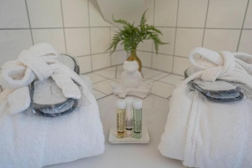 Fotografie z fotogalerie ubytování Hotel Goldener Falke v destinaci Heidelberg