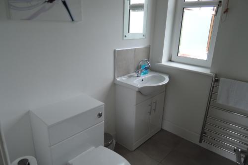 a bathroom with a sink and a toilet and a window at Tigh Beg Croft in Lerags