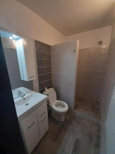 a bathroom with a toilet and a sink and a shower at Apartmány IVETA in Podhájska