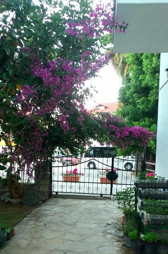 a black gate with purple flowers on it at Nehir Dalyan Boutique Otel in Ortaca