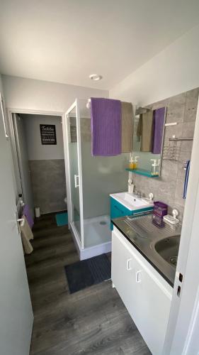 une petite salle de bain avec un lavabo et une douche dans l'établissement Lyloo Studio Epernay, à Épernay
