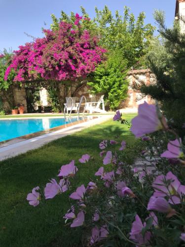 einen Garten mit rosa Blumen neben einem Pool in der Unterkunft Alacati Zeytin Konak Hotel in Alacati