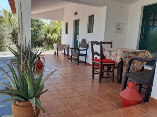 a porch with chairs and tables and a potted plant at Horta do Muro in Campo Maior