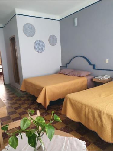 a hotel room with two beds and a plant at Hotel Rivera in Oaxaca City