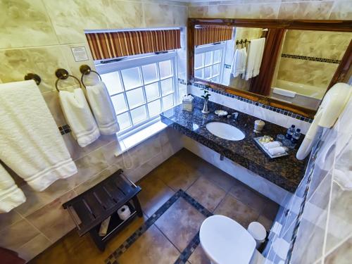 a bathroom with a sink and a mirror and a toilet at Riverside Inn in Ely