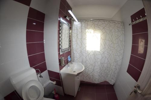 APARTAMENT RAZVAN HOLIDAY COSTINESTI في كوستينيشت: حمام صغير مع حوض ومرحاض