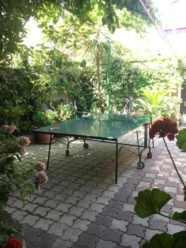 Instalaciones para jugar al ping pong en Gavan-Adler Hotel o alrededores