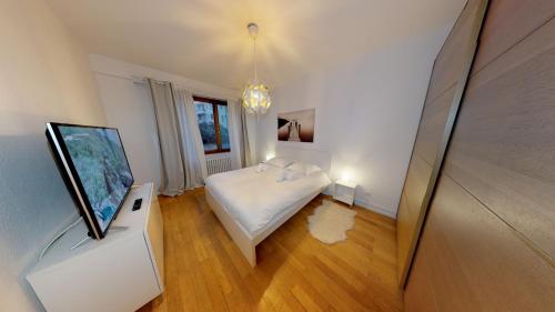 Zimmer mit einem Bett und einem TV. in der Unterkunft La Symphonie de l'Orangerie in Straßburg
