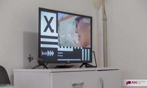 TV a/nebo společenská místnost v ubytování Stan na dan Nina - Pale Centar