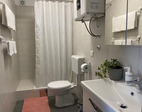 biała łazienka z toaletą i umywalką w obiekcie Green House Apartments w Novim Vinodolskim