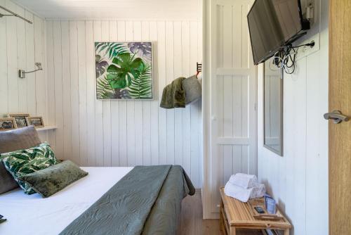 a bedroom with a bed and a flat screen tv at Les minis homes du Bugey - Eco-lodge Nature ,un refuge en hyper centre in Ambérieu-en-Bugey