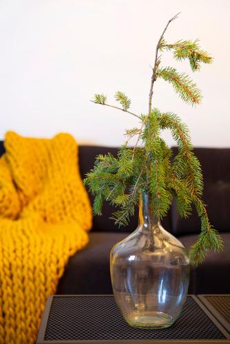 a glass vase with a pine tree in it on a table at Green Deer Premium in Zakopane
