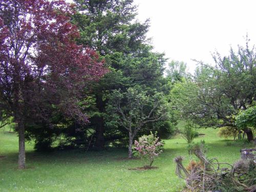 a group of trees in a field with grass at Hotel De l'Europe in Meyrueis