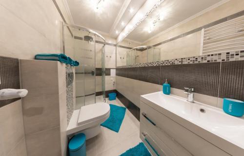 a bathroom with a sink and a toilet and a mirror at Apartament Amelia in Ustrzyki Dolne
