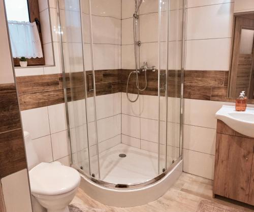 a bathroom with a shower with a toilet and a sink at DOMKI STROME ZACISZE in Niedzica Zamek