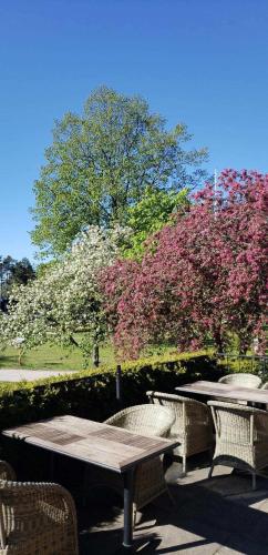 a picnic table with chairs and a tree with pink flowers at Vingåker Hotell in Vingåker