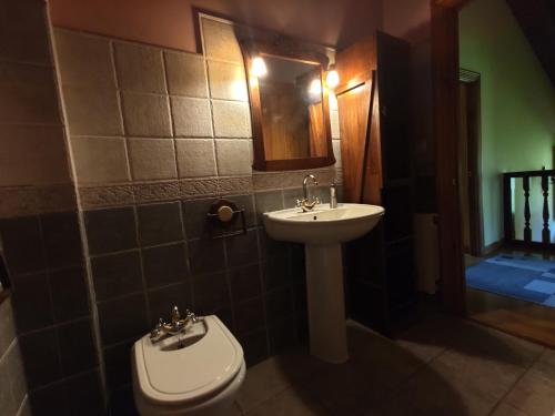 a bathroom with a sink and a toilet and a mirror at Casa el Viñadal in Arguebanes