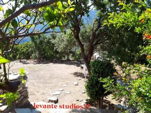 a yard with a tree and a white bench at levante studios Αndros in Ménites