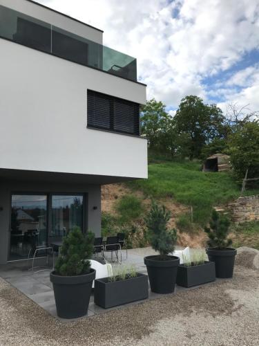 un grupo de plantas en macetas frente a un edificio en TheGuthPlace, en Rouffach