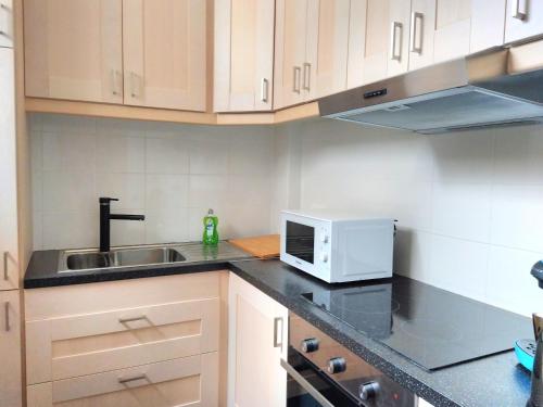 une cuisine avec un évier et un micro-ondes dans l'établissement Appartement COEUR THERMAL proche Opéra, Casino, à Vichy