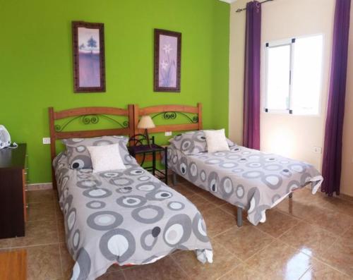 two beds in a room with green walls at Charming Oceanfront House in Puerto de Mogn, Gran Canaria in Puerto de Mogán