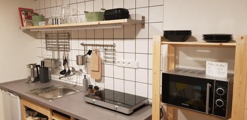 uma cozinha com um lavatório e um micro-ondas em Stylové podkrovní apartmány Ostrava em Ostrava