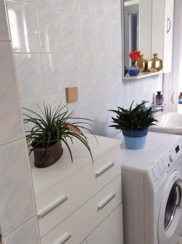 a laundry room with a washing machine and two potted plants at Kleanthi's House in Chania Town