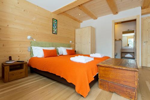Chalet Isabelle Mountain lodge 5 stars 6 bedroom en suite sauna spa inox photo 44
