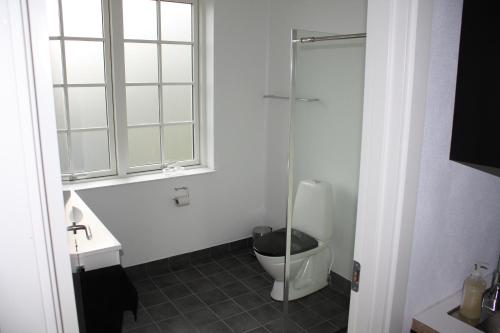 a bathroom with a toilet and a glass shower at Skibbild Bed no Breakfast in Herning