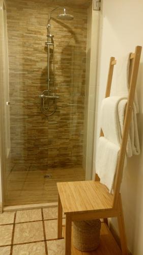 a bathroom with a shower with a bench and a shower at RESIDENCIAL RITA in Odemira