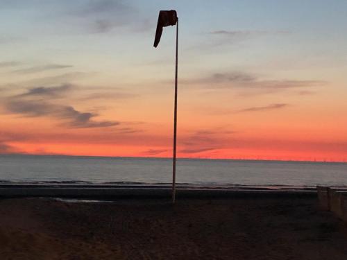Billede fra billedgalleriet på Haerendycke Park i De Haan