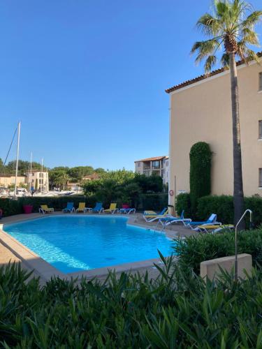 una piscina con sedie e una palma di l'escale a Cogolin