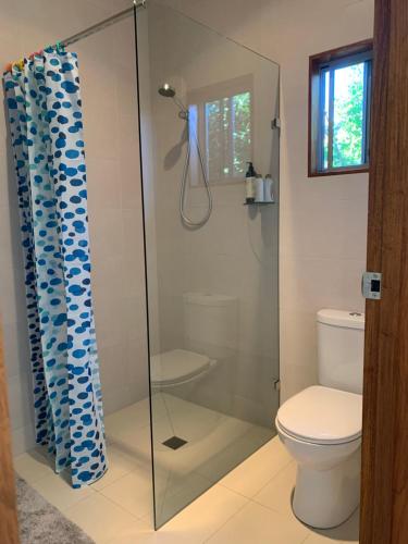 a bathroom with a glass shower with a toilet at Callemondah Studio with stunning views, in Bangalow and Byron Hinterland in Bangalow