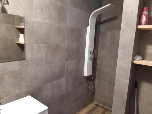 a shower with a shower head in a bathroom at Reda Aqua Sfera in Reda
