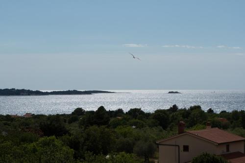 Un paisaje natural cerca de la villa