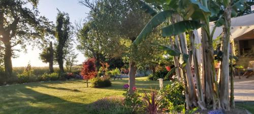 un jardin planté d'arbres et de fleurs dans l'établissement L'Oustaou du Bodo, à Ambon