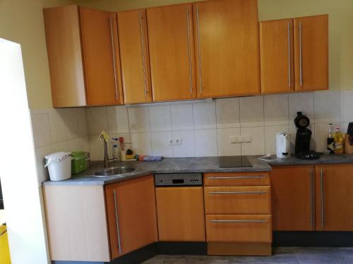 a kitchen with wooden cabinets and a sink at Wohnung in Pöttsching