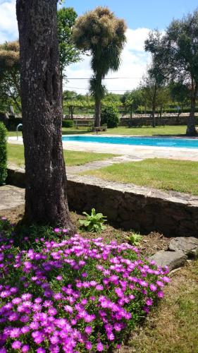 a bunch of purple flowers in front of a tree at Torres de Moreda in A Estrada