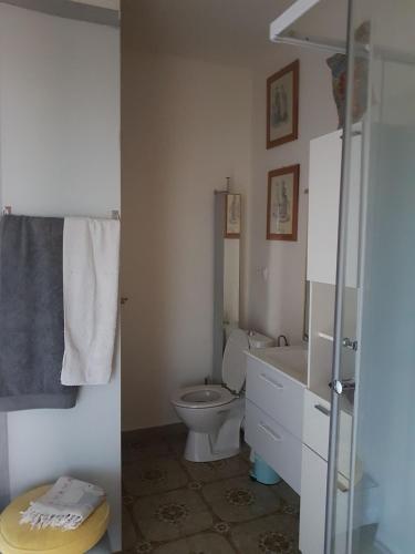 a bathroom with a white toilet and a sink at Appartements Luccisano in Borgo