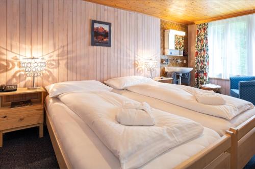 Gallery image of Basic Rooms Jungfrau Lodge in Grindelwald