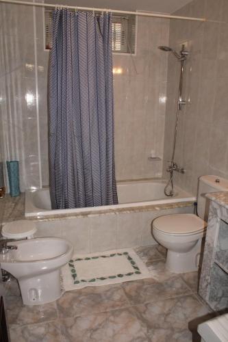 a bathroom with a toilet and a tub and a sink at Apartamentos Os Cerros in Portonovo