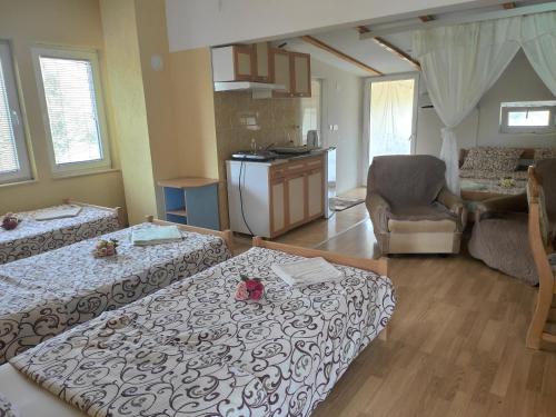 Kuchyň nebo kuchyňský kout v ubytování Villa Kliment