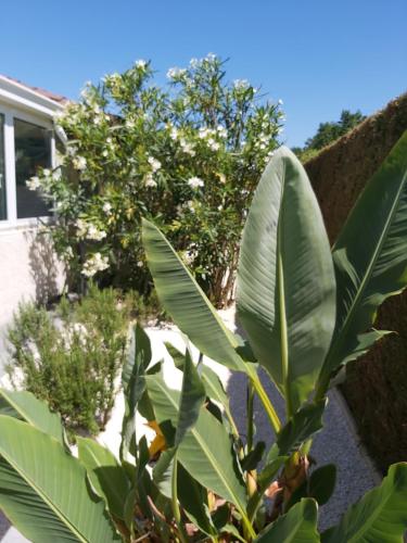 Photo de la galerie de l'établissement Le Soleil Couchant, à Angresse