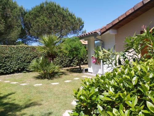 Photo de la galerie de l'établissement Le Soleil Couchant, à Angresse