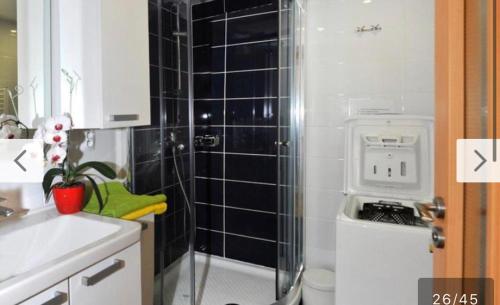 a bathroom with a shower and a toilet and a sink at Condo Vinohrady II in Prague