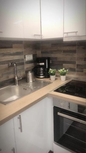 Η κουζίνα ή μικρή κουζίνα στο The green apartment